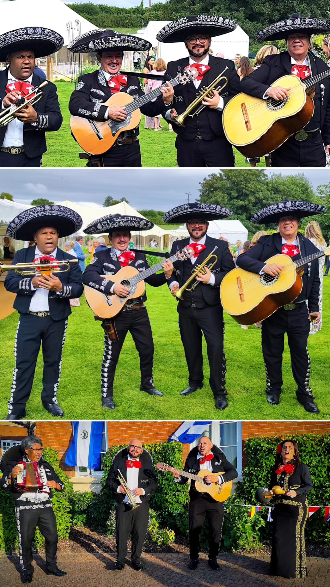 Cover: Mariachis